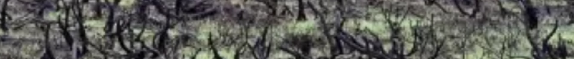 landscape of burnt sage
