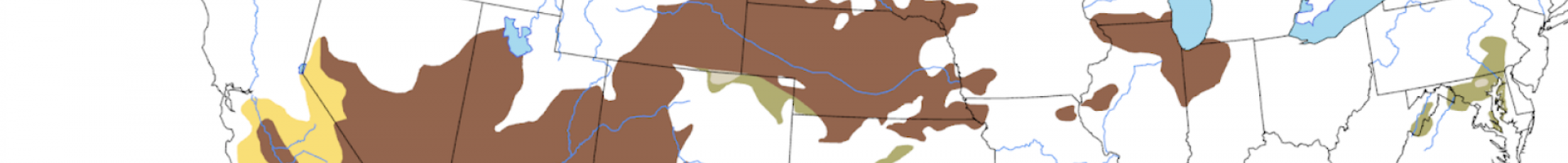 irregular color blocks on map of contiguous United States