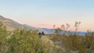 volunteers standing in the Saline Valley