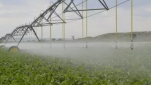 irrigation system
