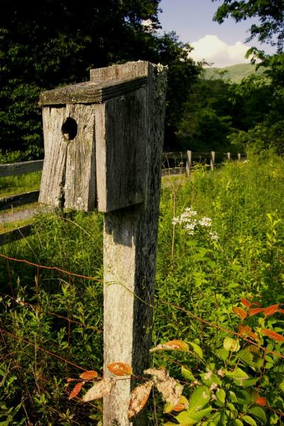 Wooden birdhouse on a post