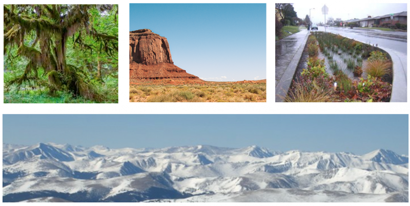 Natural Landscapes Collage