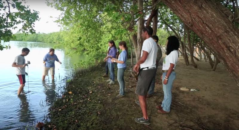 A group of people on shore prepare to plant small mangrove trees