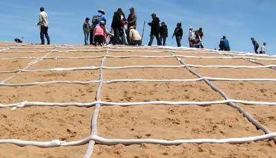 Photo of sand-filled tubes made of biodegradable fabric laid out in a grid on the surface of a sand dune