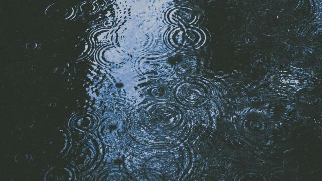 Drops of water falling into a puddle